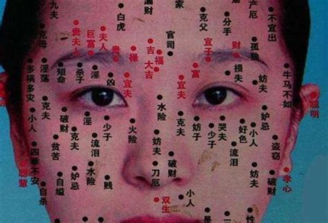 女右眼下有痣|女人右眼下有痣命运 女人右眼痣图解大全